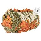 Trixie Hay Bale Beetroot  - rágcsálók részére (ø10×18cm) 200g