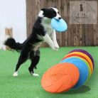 Kutya frizbi (nagy) 22 cm