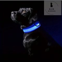 Sötétben világító LED-es nyakörv